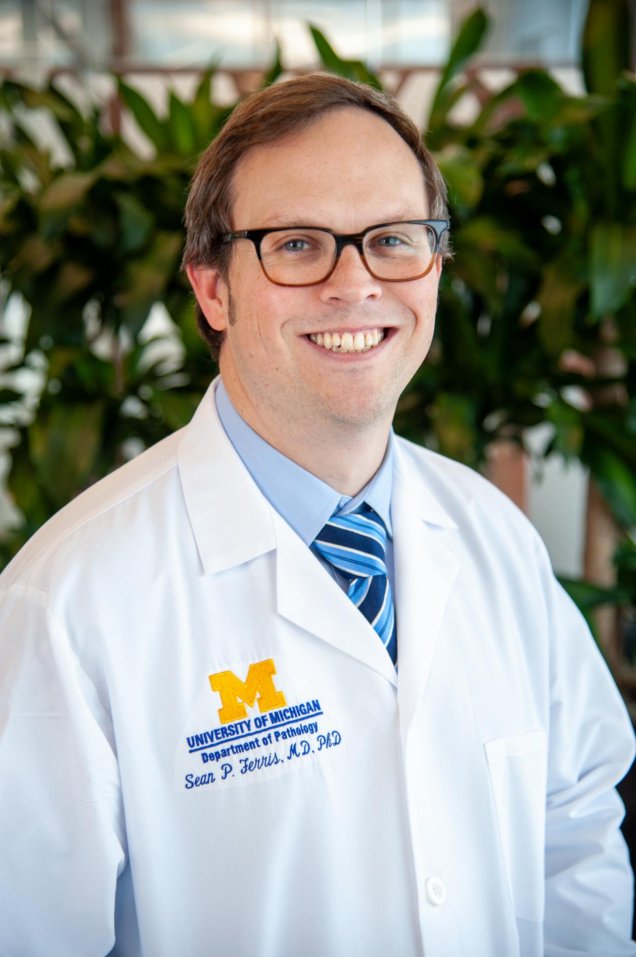 Sean Ferris, M.D.