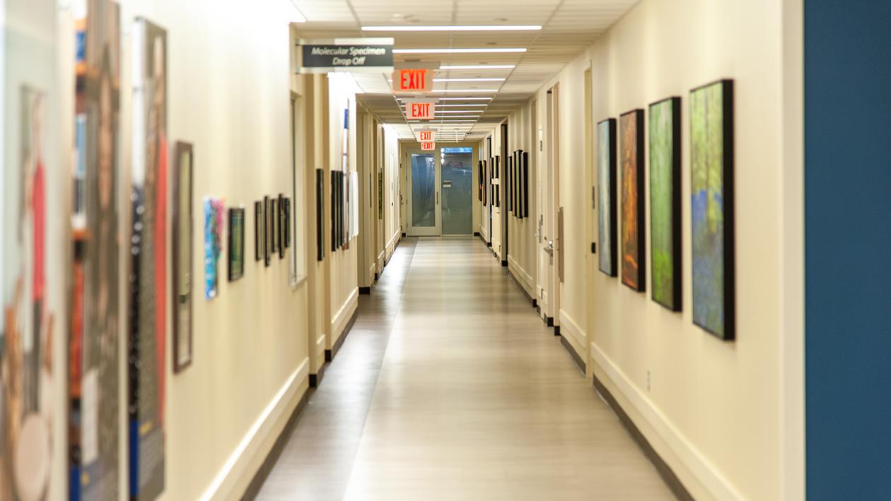 Hallway with art