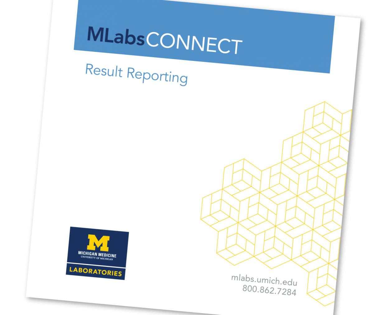 MLabsCONNECT Brochure