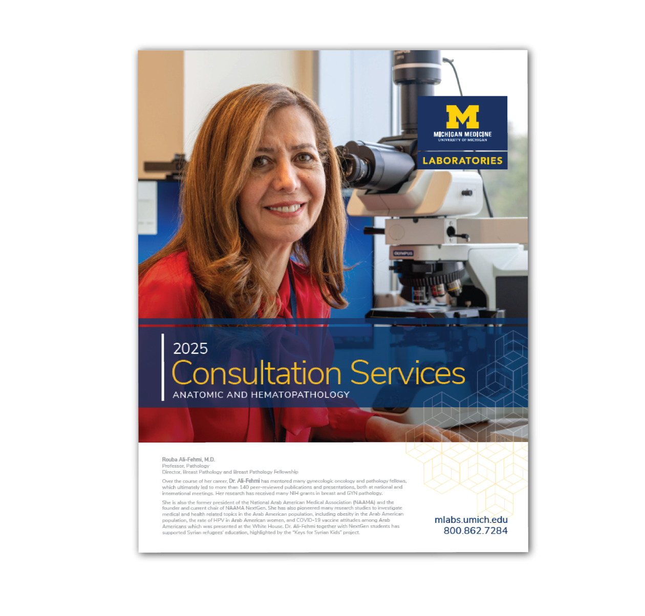 2025 Consultation Brochure