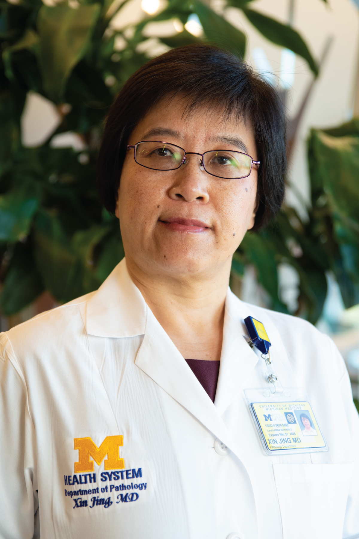 Dr. Xin Jing